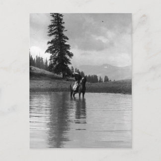 Carte Postale Cowboy dans un étang