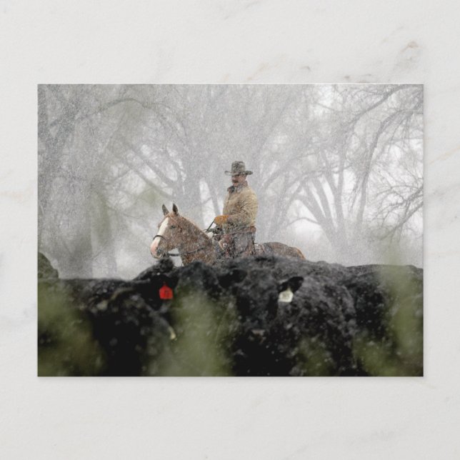 Carte Postale Cowboy en hiver (Devant)