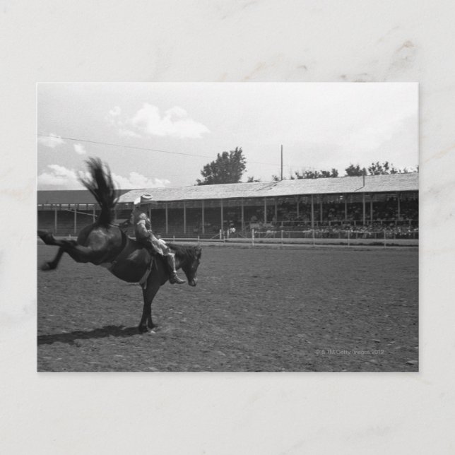 Carte Postale Cowboy équitation en rodéo, (B&W) (Devant)