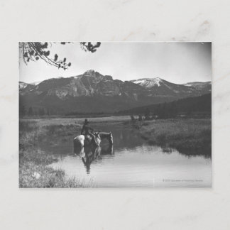 Carte Postale Cowboy et cheval dans un étang