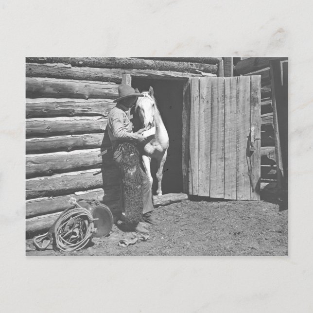 Carte Postale Cowboy lisant une lettre (Devant)