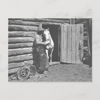 Carte Postale Cowboy lisant une lettre