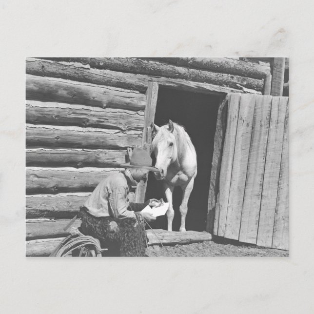 Carte Postale Cowboy lisant une lettre avec un cheval (Devant)