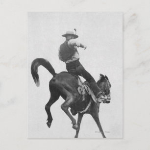 Carte Postale Cowboy Ned Coy Riding Bronco