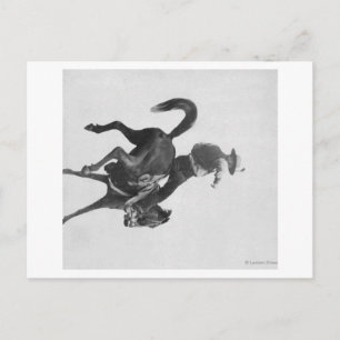Carte Postale Cowboy Ned Coy Riding Bucking Bronco Nommé