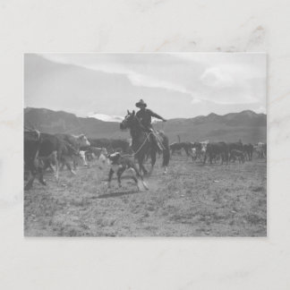 Carte Postale Cowboy qui fait un sabot pour la marque de printem
