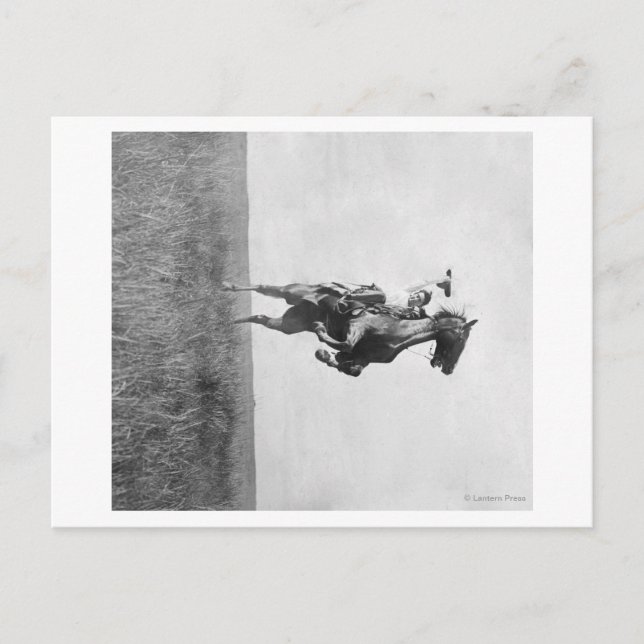 Carte Postale Cowboy Rides Bronco Rising sur ses pattes d'appui (Devant)