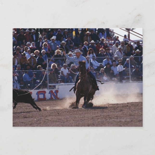 Carte Postale Cowboy Roping Calf à Rodeo (Devant)