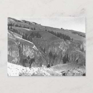 Carte Postale Cowboy s'est séparé de son troupeau.