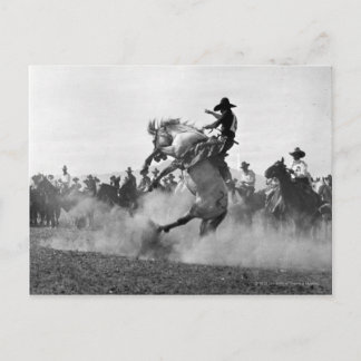 Carte Postale Cowboy sur un bronco cinglé