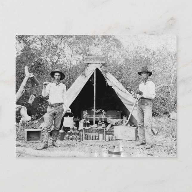 Carte Postale Cowboys au camp, 1890 (Devant)
