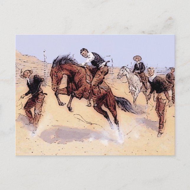 Carte Postale Cowboys - Cowboy Breaking Horse (Devant)