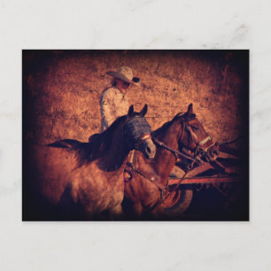 Carte Postale Cowgirl