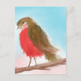 Carte postale Coy Robin
