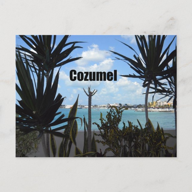 Carte Postale Cozumel (Devant)