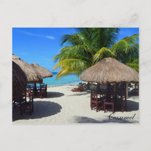 Carte Postale Cozumel Mexico Beach Cabine Palm Tree Eau Turquois