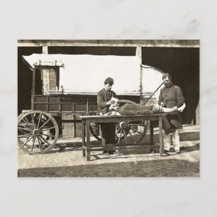 Carte Postale cp1563 Wagon Médicale