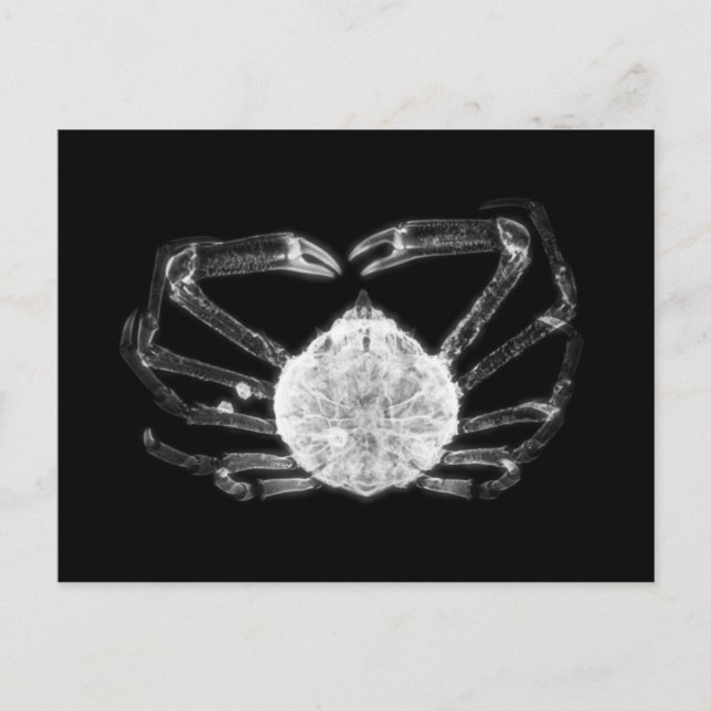 Carte Postale Crabe à rayons X (Devant)