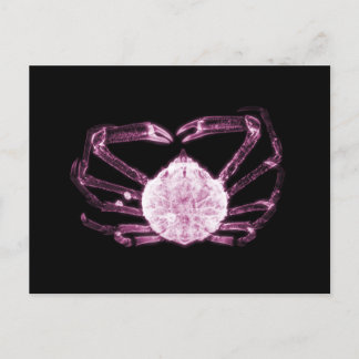 Carte Postale Crabe à rayons X