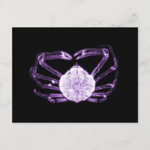 Carte Postale Crabe à rayons X