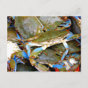 Carte Postale Crabe bleu