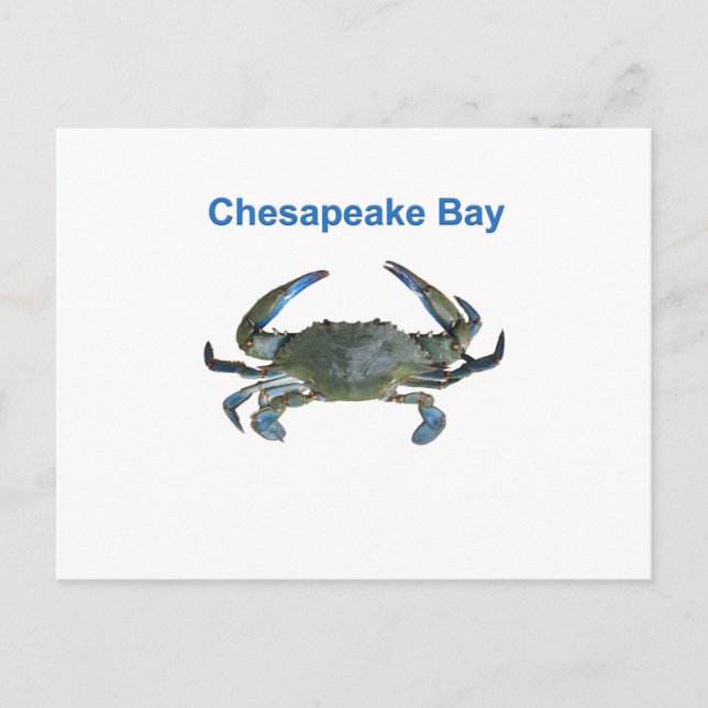 Carte Postale Crabe bleu de la baie Chesapeake (Devant)
