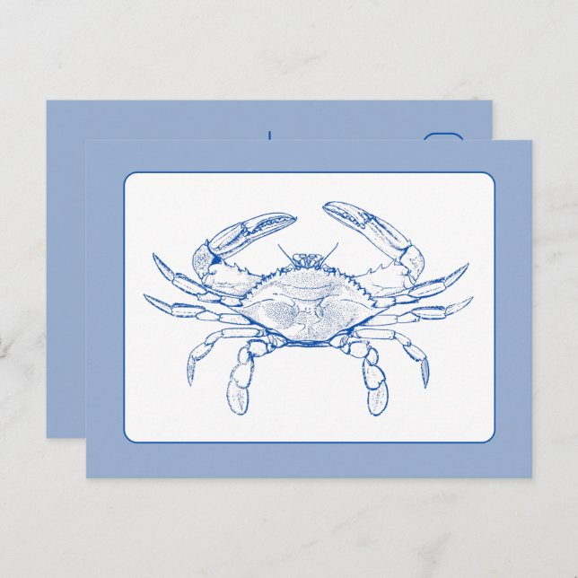 Carte Postale Crabe bleu et blanc côtier (Devant / Derrière)