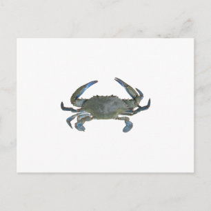 Carte Postale Crabe bleu "Jimmy"