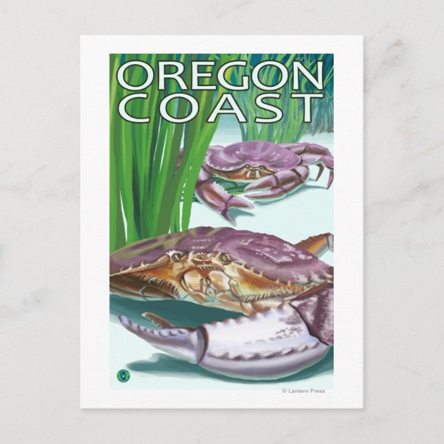 Carte Postale Crabe de la côte de l'Oregon (Devant)