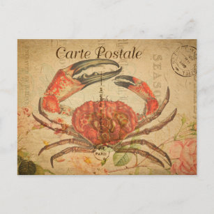 Carte Postale Crabe de Tasmanie vintage Fleurs florales Français
