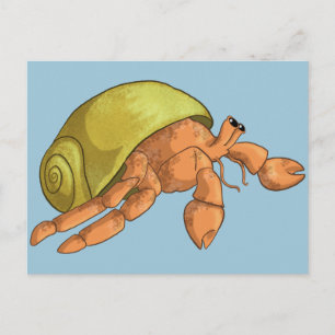 Carte Postale Crabe hermite