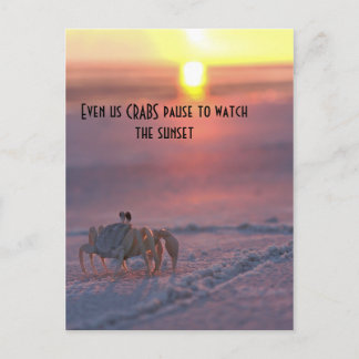 Carte Postale Crabe regardant le coucher du soleil