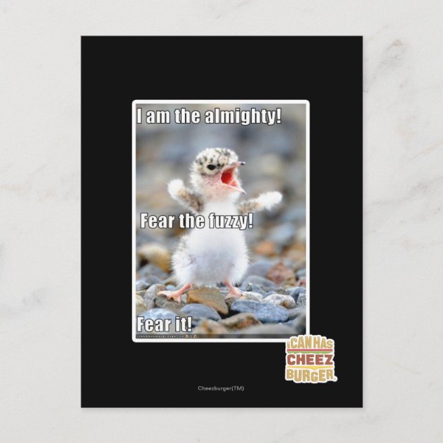 Carte Postale Craignez le Fuzzy ! (Devant)