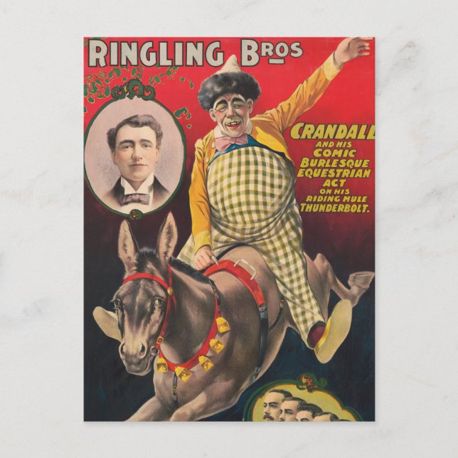 Carte Postale Crandall le clown en représentation avec sa mule (Devant)