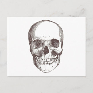Carte Postale Crâne anatomique, noir/blanc