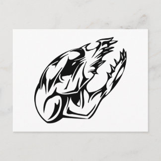 Carte Postale Crâne animal