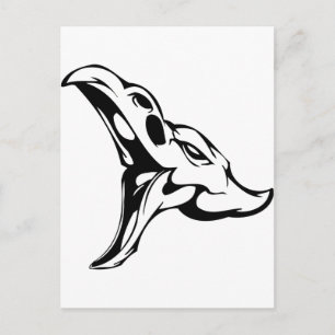 Carte Postale Crâne animal