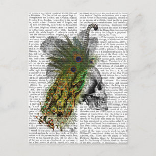 Carte Postale Crâne avec tête de plume