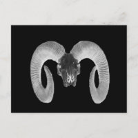 crâne de chèvre unique et artisanal