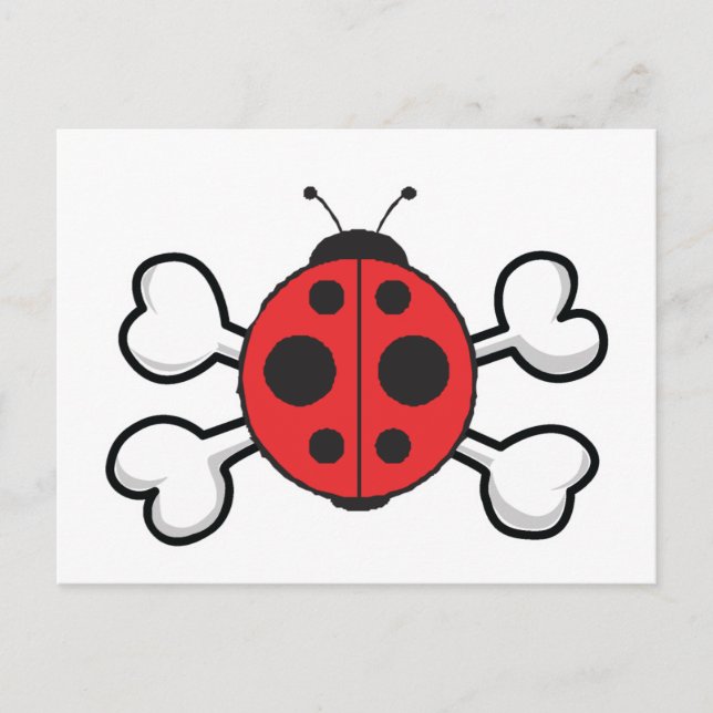 Carte Postale crâne de coccinelle et os croisés (Devant)