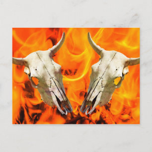 Carte Postale Crâne de vache et feu