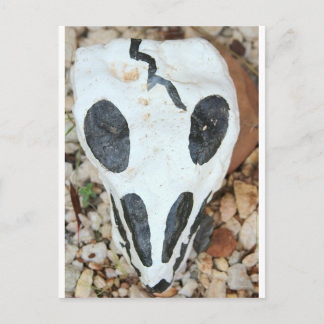 Carte Postale crâne dia del muerte (Devant)