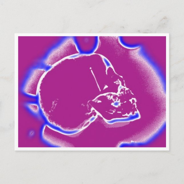 Carte Postale crâne électrique (Devant)