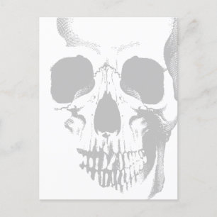 Carte Postale Crâne gris visage