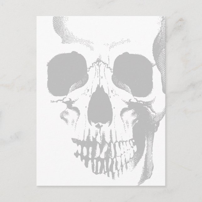 Carte Postale Crâne gris visage (Devant)