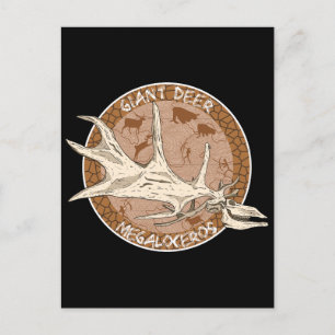 Carte Postale Crâne Megaloceros d'Elk irlandais