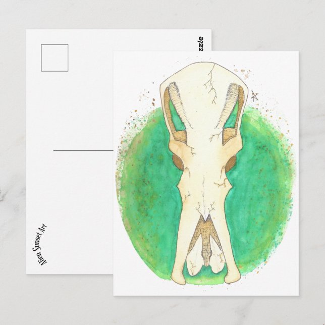 Carte Postale Crâne Platypus (Devant / Derrière)
