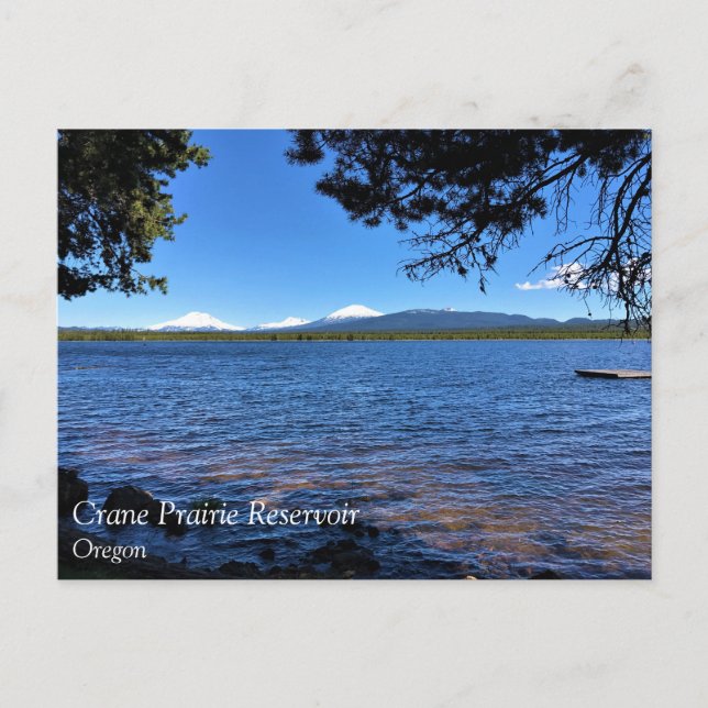 Carte Postale Crane Prairie (Devant)