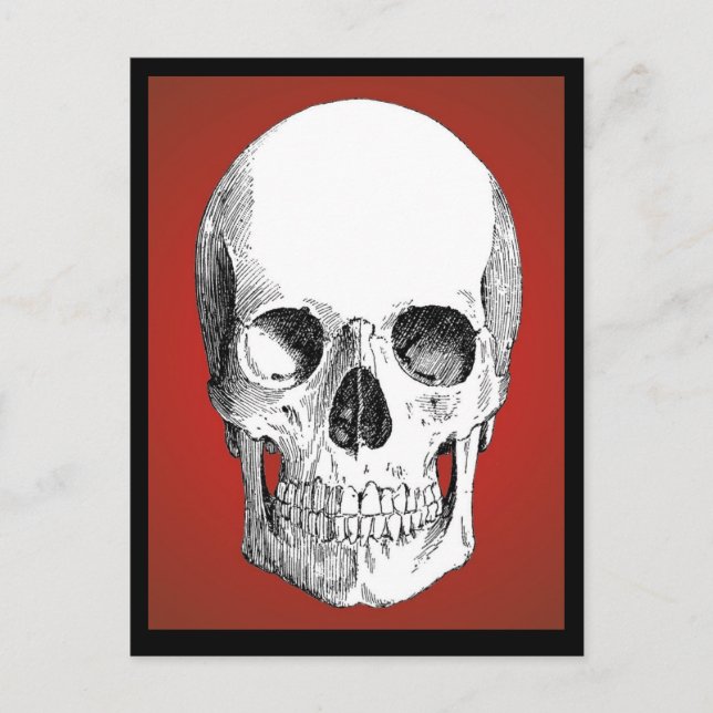 Carte postale crâne (rouge) (Devant)