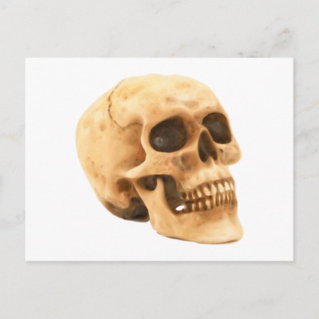 Carte Postale Crâne Totenkopf Schädel (Devant)